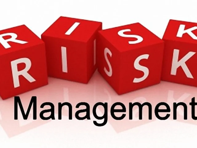 مدیریت ریسک در پروژه چیست ؟